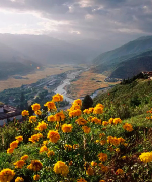 Bhutan Luxury Tour — 8 Days