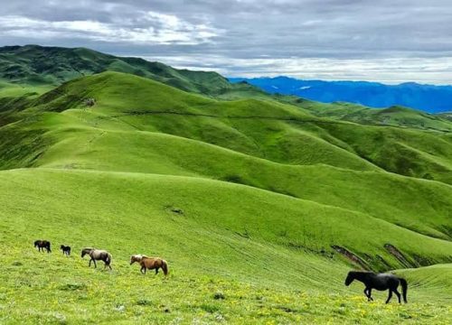 Khaptad & Badimalika Trek — A Sacred Himalayan Spiritual Journey