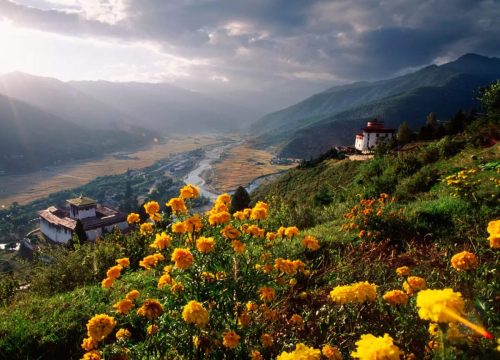 Bhutan Luxury Tour — 8 Days